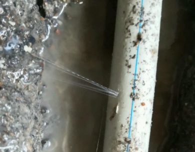 柳州市测漏水哪家好