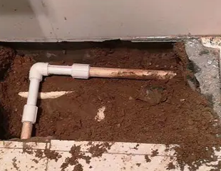 柳州市测漏水哪家好