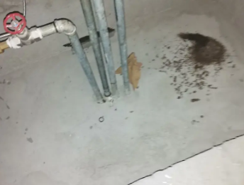 柳州市卫生间测漏水价格明细