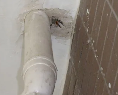 柳州市漏水检测哪家好